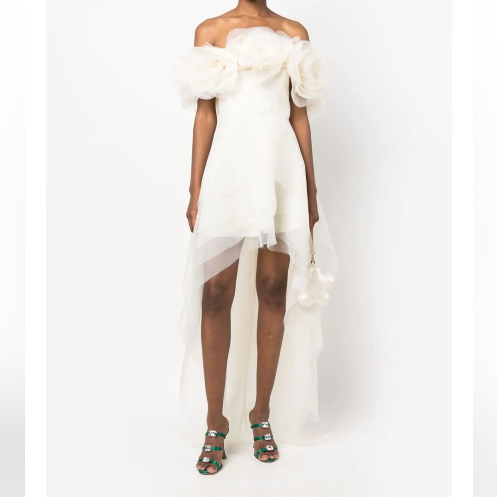 Ana Radu
floral-appliqué organza layered dress